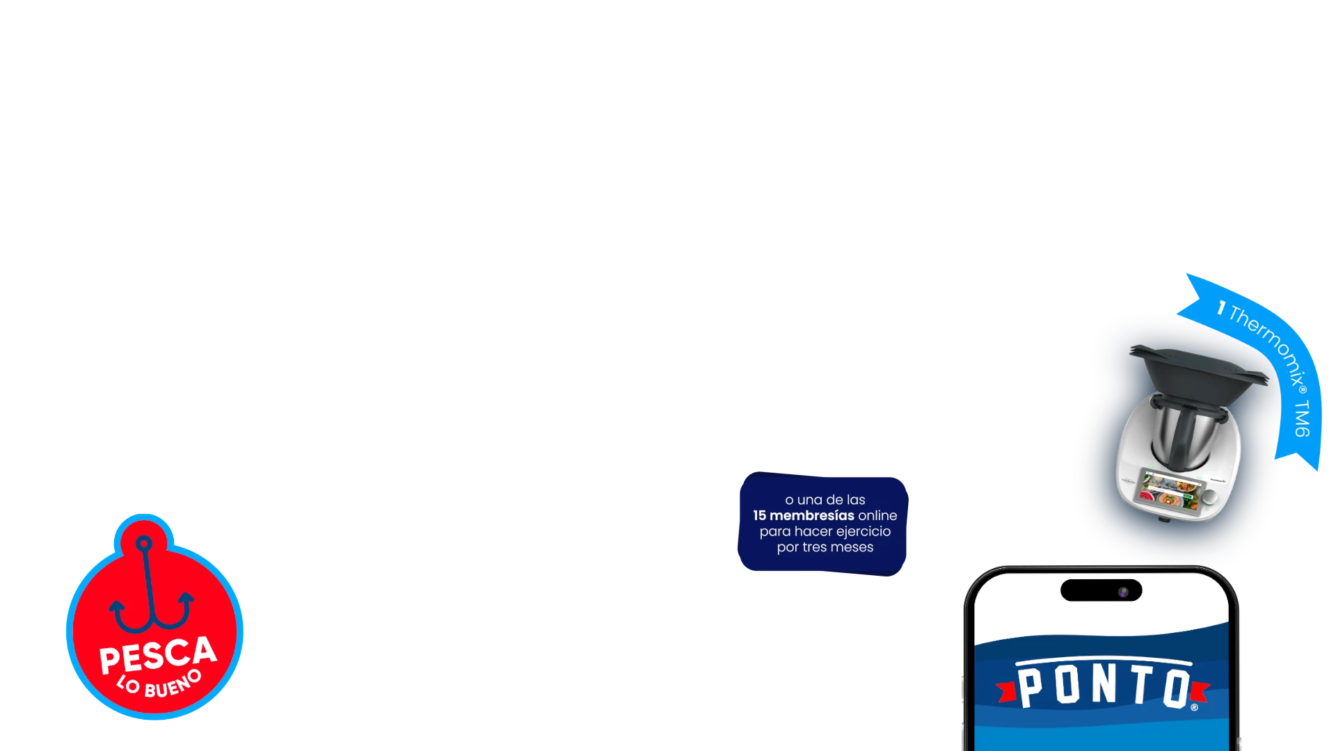 texto